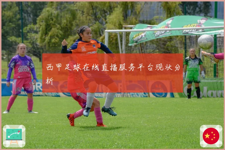 西甲足球在线直播服务平台现状分析