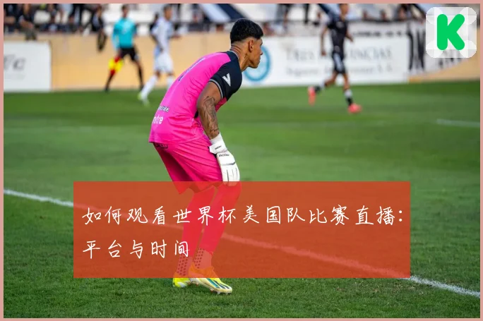如何观看世界杯美国队比赛直播：平台与时间