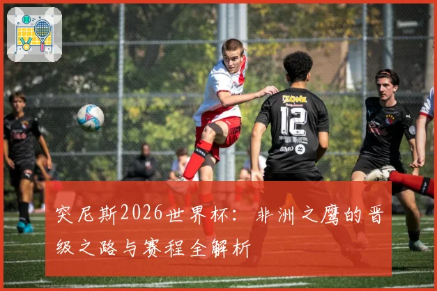 突尼斯2026世界杯：非洲之鹰的晋级之路与赛程全解析