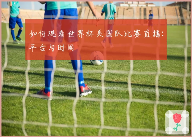 如何观看世界杯美国队比赛直播：平台与时间