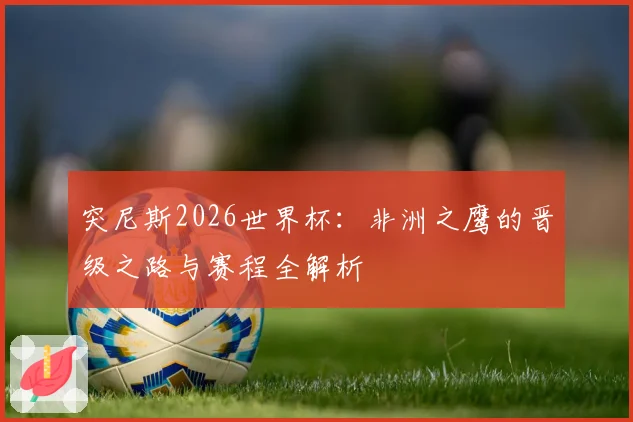 突尼斯2026世界杯：非洲之鹰的晋级之路与赛程全解析
