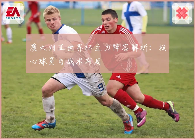 澳大利亚世界杯主力阵容解析：核心球员与战术布局