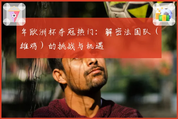 年欧洲杯夺冠热门：解密法国队（雄鸡）的挑战与机遇