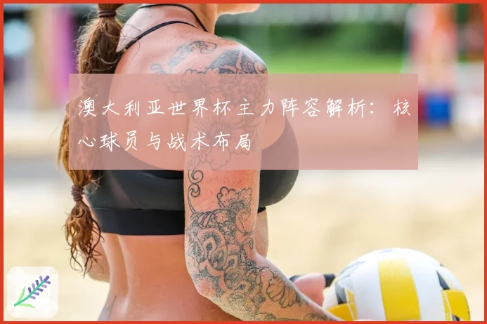 澳大利亚世界杯主力阵容解析：核心球员与战术布局